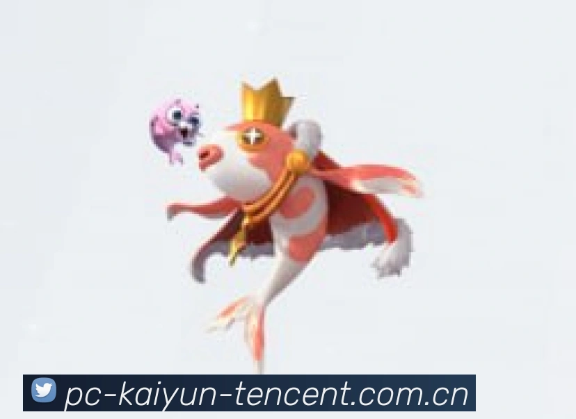 开云平台详细介绍
